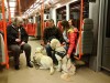 skupinka nevidomch s psy, hluchoslepch ve vagonu metra